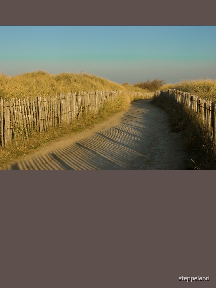 Path through the dunes by steppeland