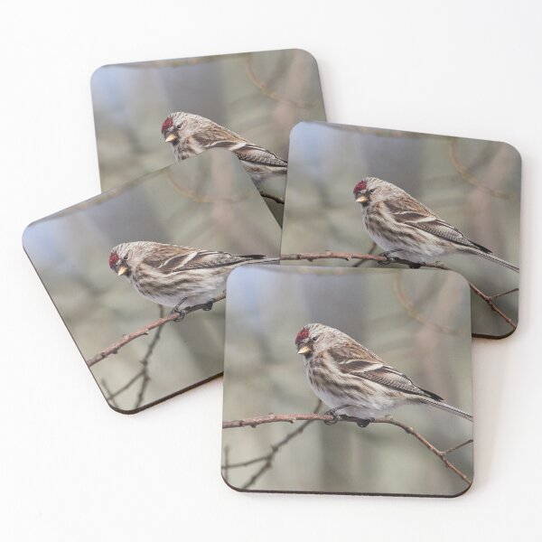 Item preview, The common redpoll on a branch designed and sold by Jouko Lehto Photography.