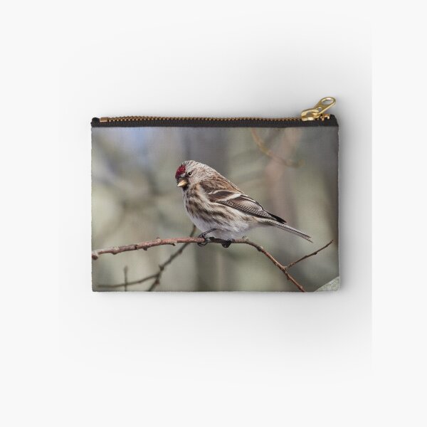 Item preview, The common redpoll on a branch designed and sold by Jouko Lehto Photography.