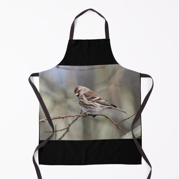 Item preview, The common redpoll on a branch designed and sold by Jouko Lehto Photography.