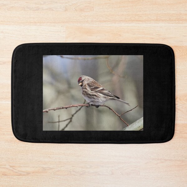 Item preview, The common redpoll on a branch designed and sold by Jouko Lehto Photography.