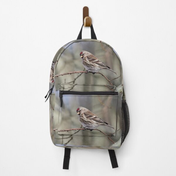 Item preview, The common redpoll on a branch designed and sold by Jouko Lehto Photography.