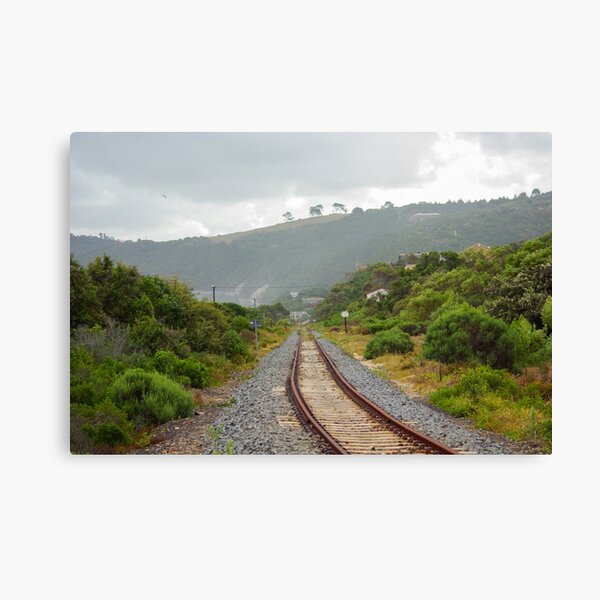 Wilderness Railway Canvas Print