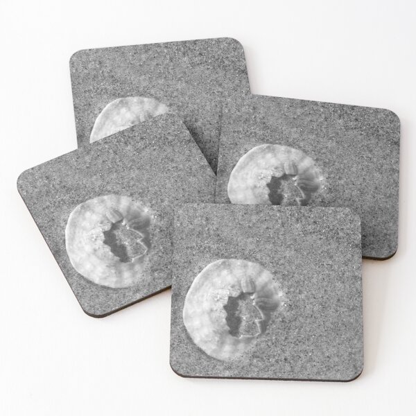 Item preview, Sand Dollar Black and White  designed and sold by SashaSprite.