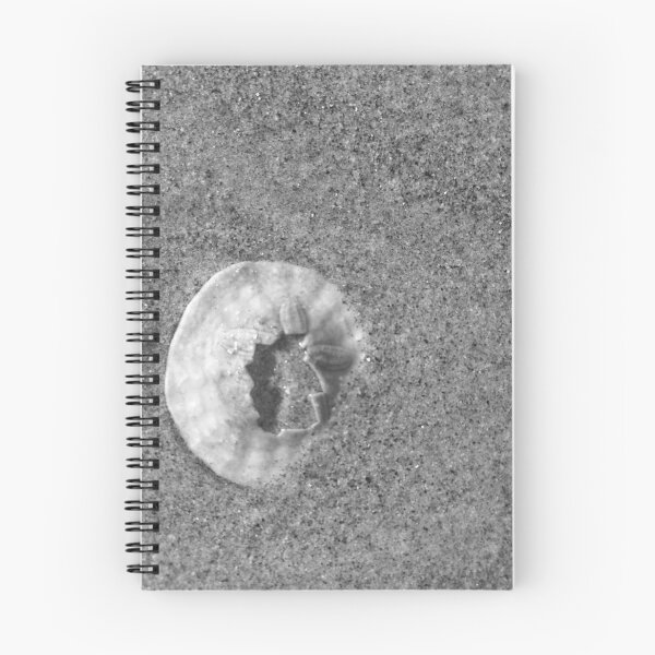 Item preview, Sand Dollar Black and White  designed and sold by SashaSprite.