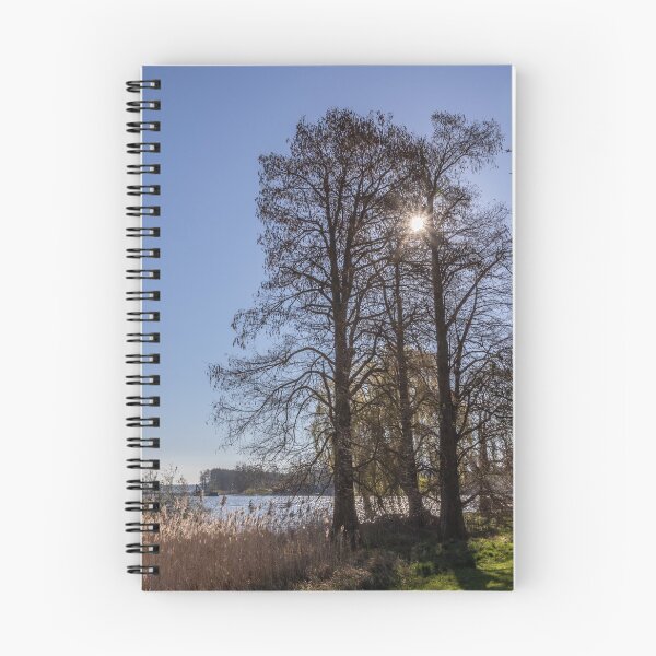 Item preview, Schwerin in spring designed and sold by Nicole Bleck.