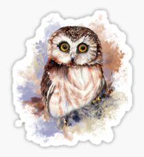 Watercolor Cute Owl Bird Sticker