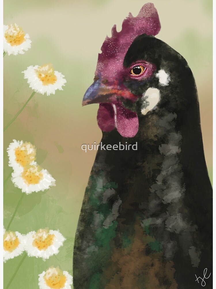 "Daisy the Chicken" Poster by quirkeebird Redbubble