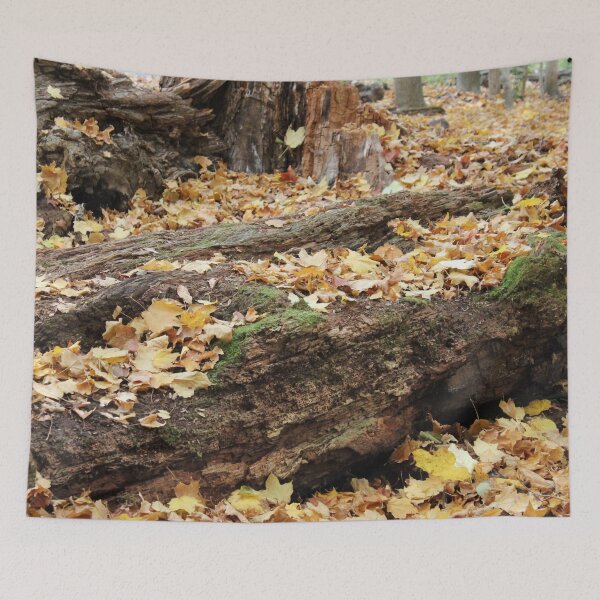 Item preview, Fallen Leavs designed and sold by Susie Kramer.