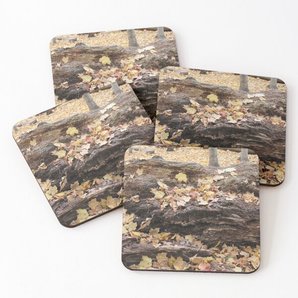Item preview, Forest Floor in the Fall designed and sold by Susie Kramer.