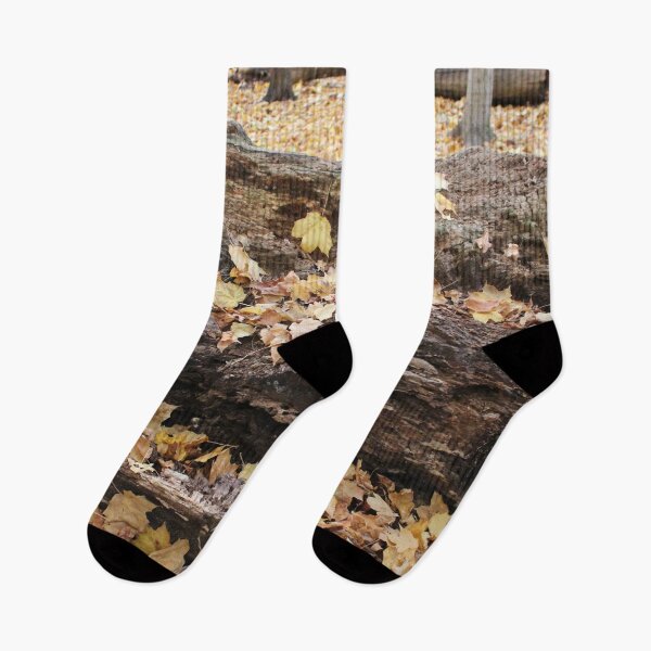 Item preview, Forest Floor in the Fall designed and sold by Susie Kramer.