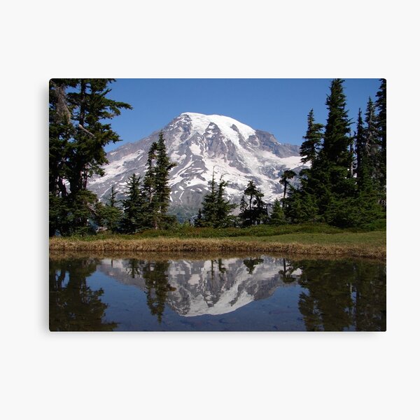 Mount Rainier Canvas Print