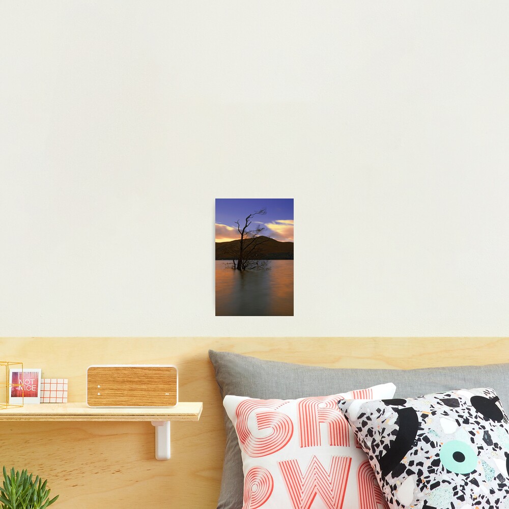 Item preview, Photographic Print designed and sold by FXST.