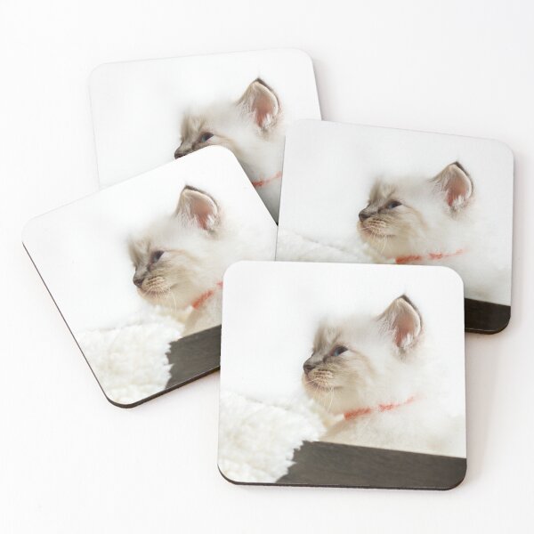 Item preview, Gorgeous Ragdoll Kitten designed and sold by Jane Stanley Photography.