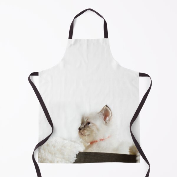 Item preview, Gorgeous Ragdoll Kitten designed and sold by Jane Stanley Photography.