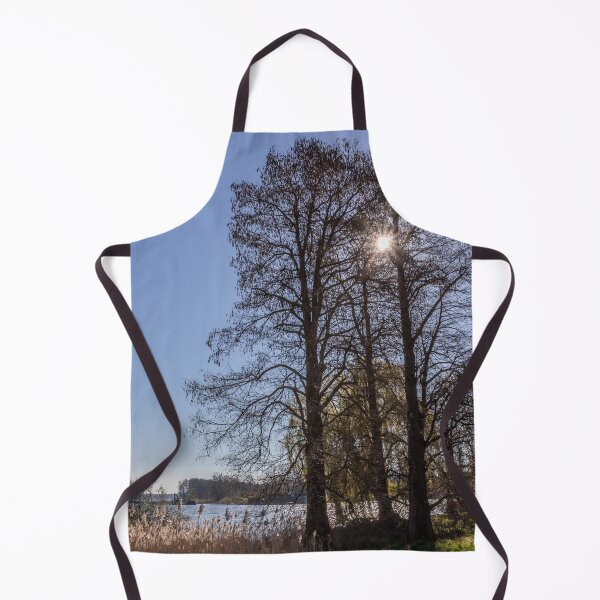 Item preview, Schwerin in spring designed and sold by Nicole Bleck.