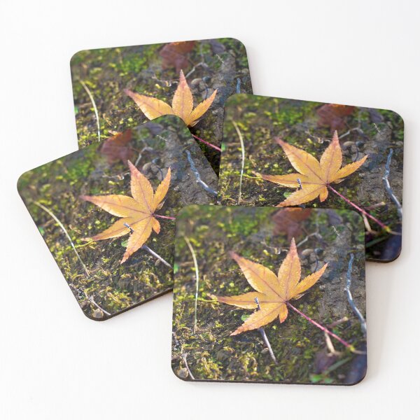 Item preview, Photography - Lonely leaf designed and sold by Karolien Kenis.