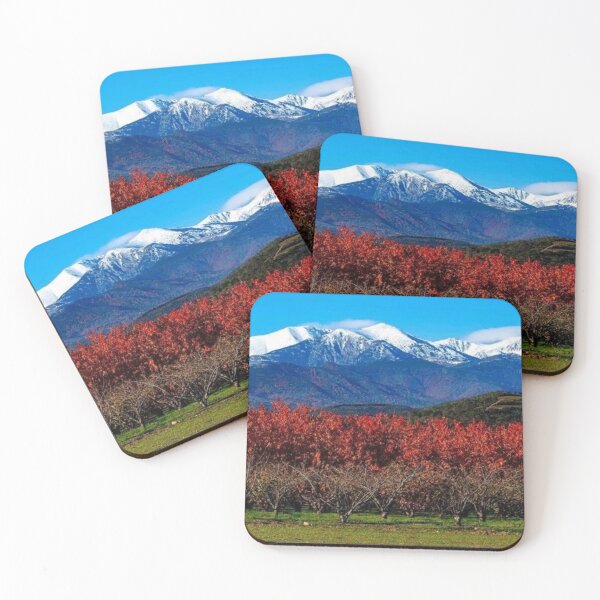 Item preview, Canigou and flowering trees designed and sold by Olympique1359.