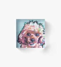 Toy Poodle Dog Bright colorful pop dog art Acrylic Block