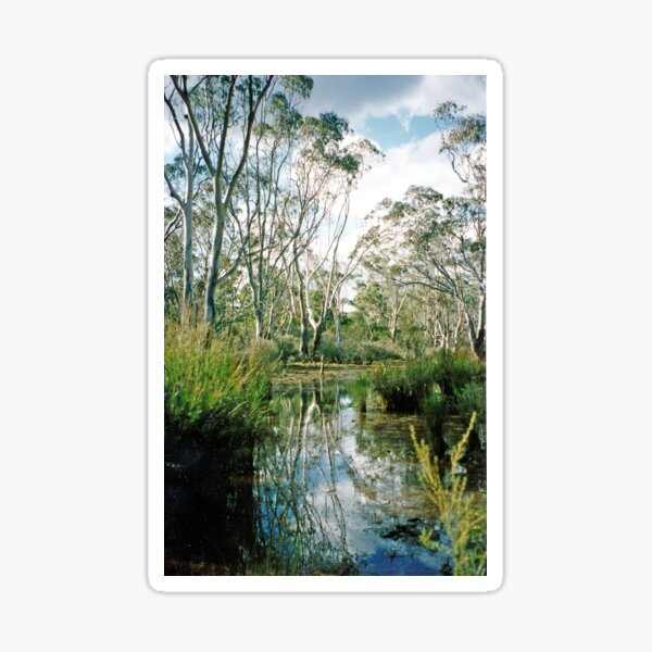 Item preview, At the Waterhole designed and sold by Graeme  Hyde.