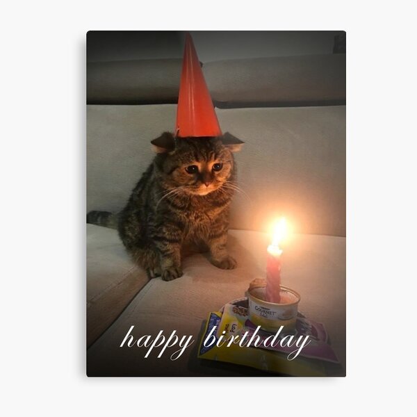 a cat with a birthday cake, cartoonish, cute, kawai,... | OpenArt