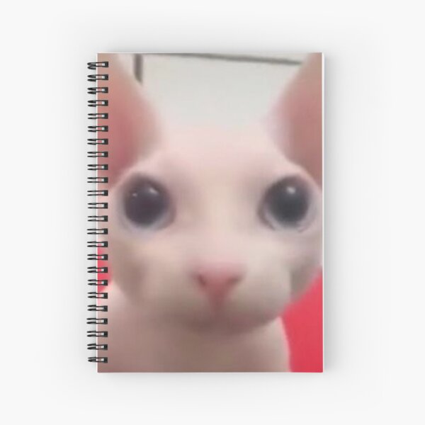 Big Floppa Meme Cute Caracal Cat: Plain Lined Journal Notebook, 120 Pages,  Medium 6 x 9 Inches, Printed Cover