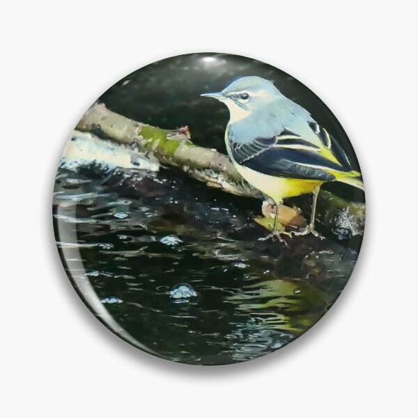 Item preview, Grey Wagtail on the Water of Leith in Edinburgh designed and sold by RobinDHunter.