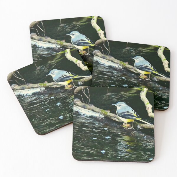 Item preview, Grey Wagtail on the Water of Leith in Edinburgh designed and sold by RobinDHunter.