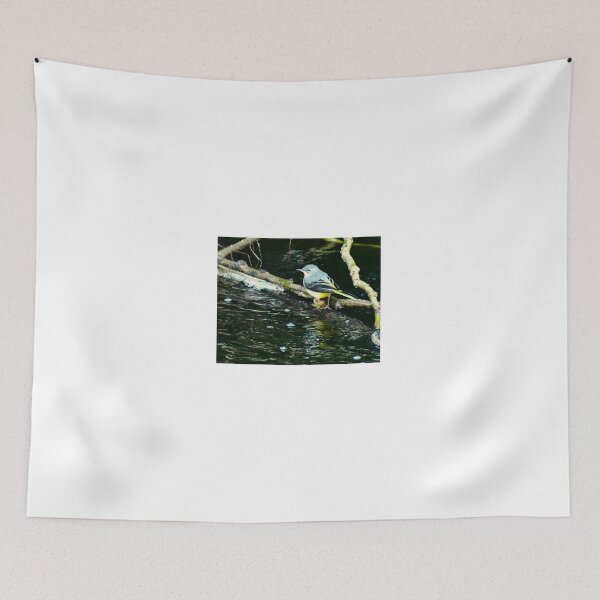 Item preview, Grey Wagtail on the Water of Leith in Edinburgh designed and sold by RobinDHunter.