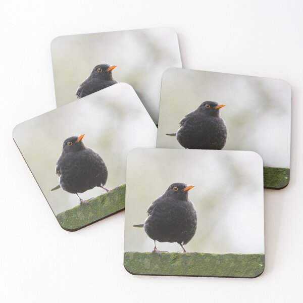 Item preview, Common Blackbird on a Mossy Wall designed and sold by Ryan  Ten.