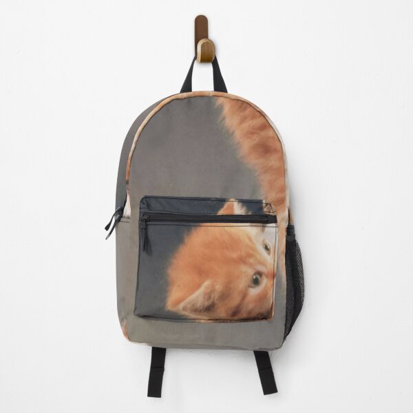 Item preview, Cat Hang in There. designed and sold by tertopglond.