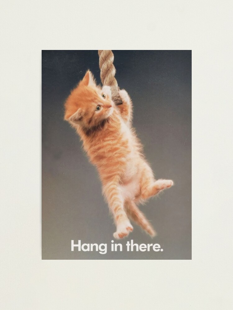 Thumbnail 1 of 3, Photographic Print, Cat Hang in There. designed and sold by tertopglond.