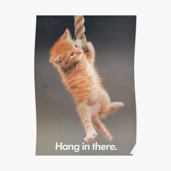 Hang In There Posters.