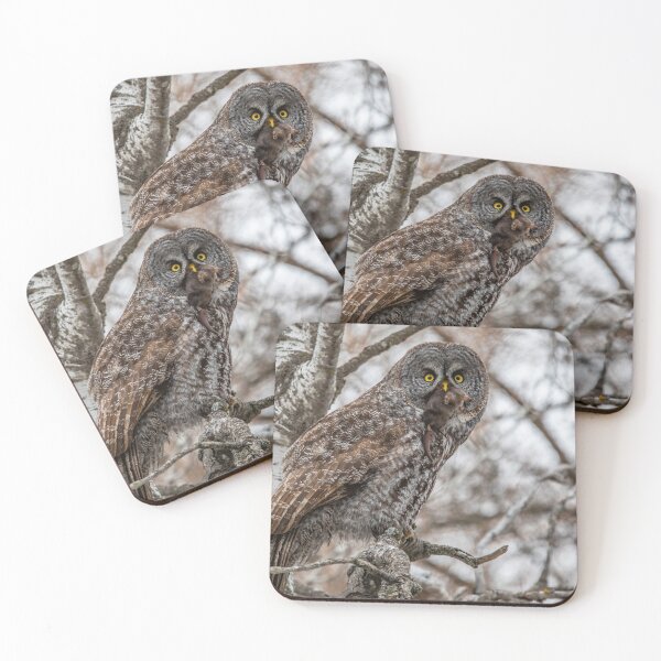 Item preview, Grate Gray Owl with Mole designed and sold by Vargulich.