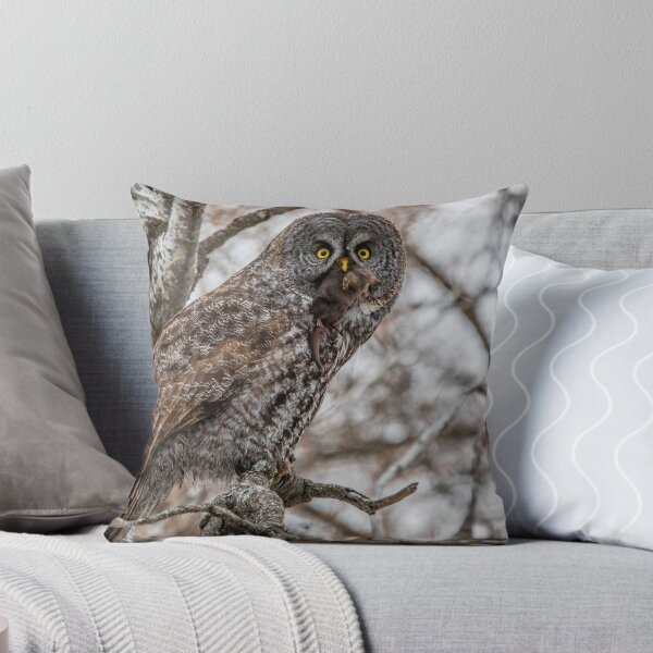 Item preview, Grate Gray Owl with Mole designed and sold by Vargulich.