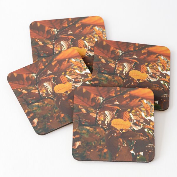 Item preview, in the sun - The colors of autumn - Photography designed and sold by greatnorris.