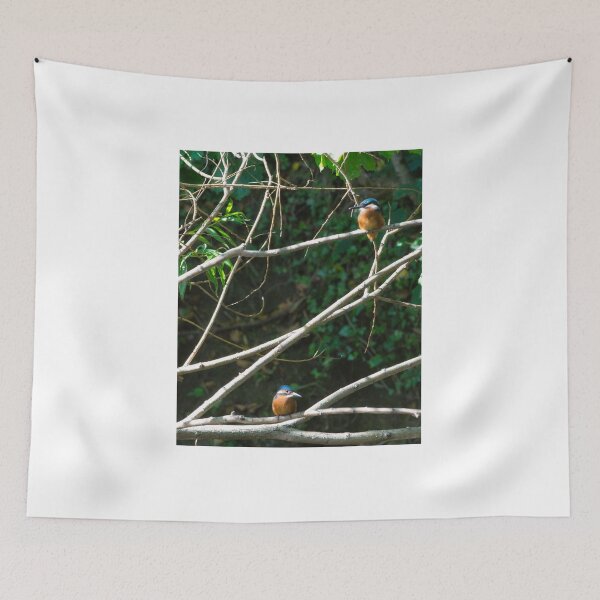 Item preview, Pair of Kingfishers, perched. designed and sold by RobinDHunter.