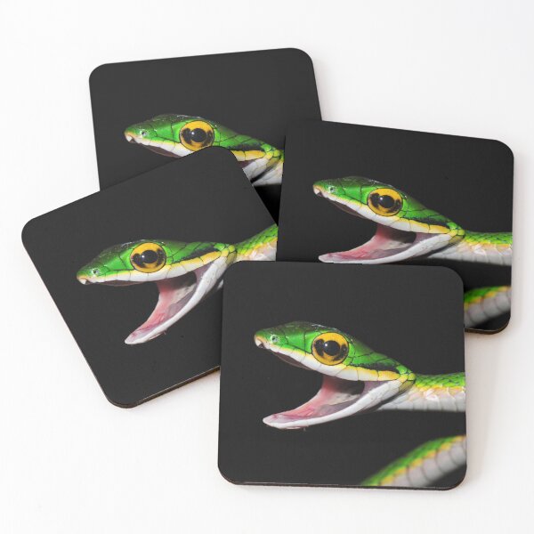 Item preview, Parrot Snake! designed and sold by ReptileAmphibia.