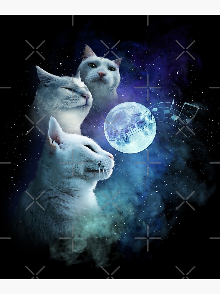 Cat Vibing Meme Galaxy Cats Three Cat Moon CatJAM Greeting Card ...