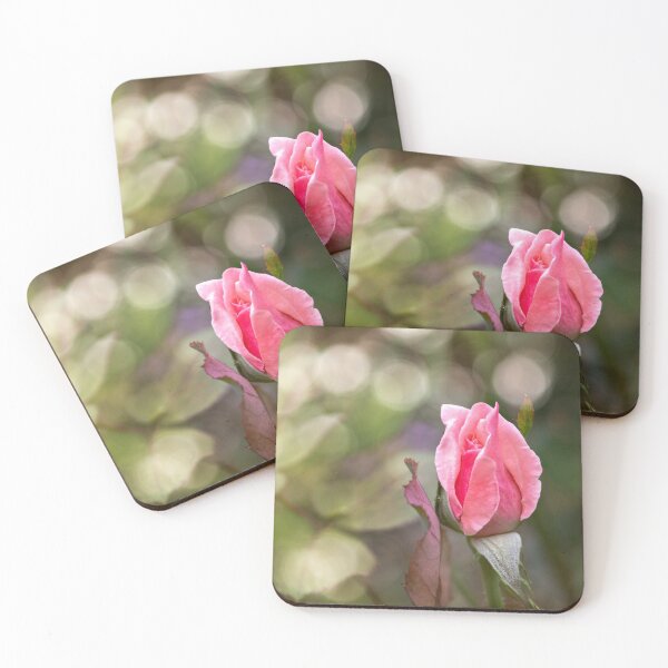 Item preview, Pink rose designed and sold by bwatkinsphoto.