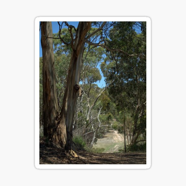 Item preview, Track Up The Hill designed and sold by Ben Loveday.