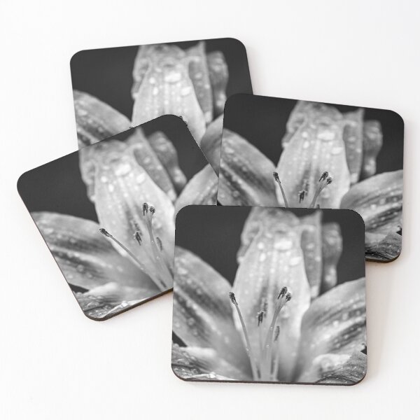 Item preview, daylily designed and sold by bwatkinsphoto.