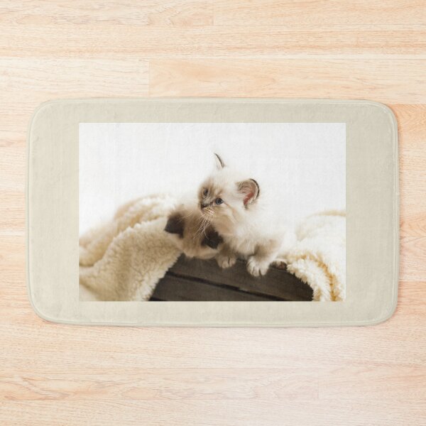 Item preview, Curious Kittens designed and sold by Jane Stanley Photography.