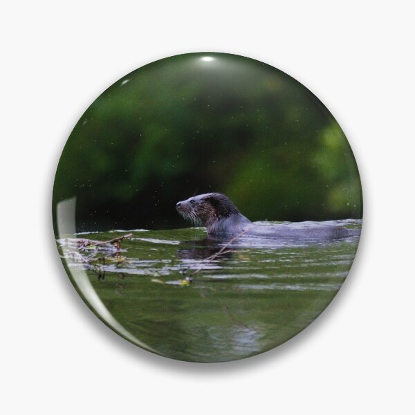 Item preview, Otter surveying the scene designed and sold by RobinDHunter.