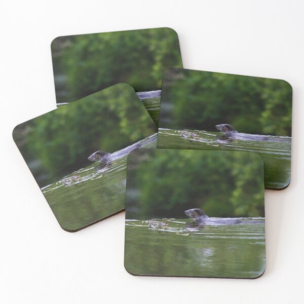 Item preview, Otter surveying the scene designed and sold by RobinDHunter.