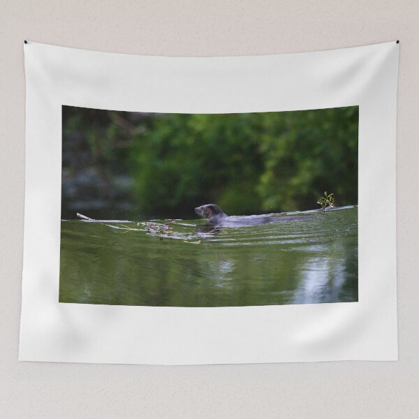 Item preview, Otter surveying the scene designed and sold by RobinDHunter.