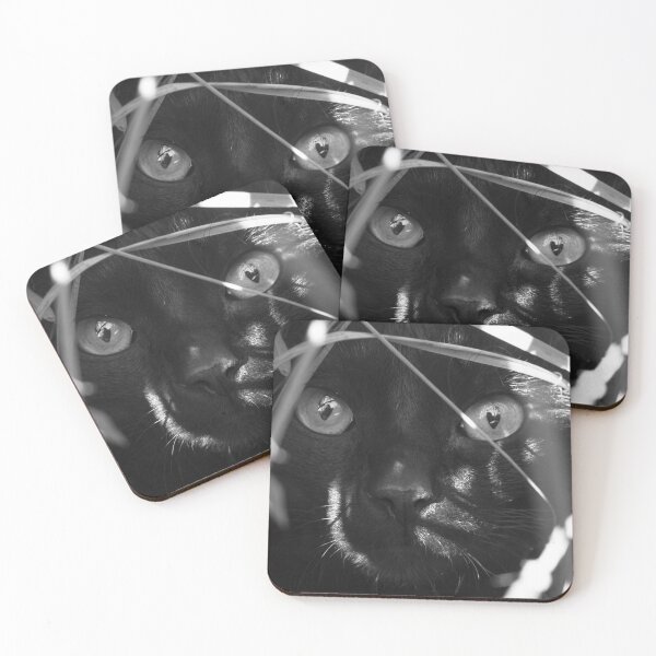 Item preview, Hidden Cat designed and sold by Anna Ratkevich.