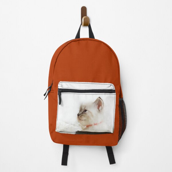 Item preview, Gorgeous Ragdoll Kitten designed and sold by Jane Stanley Photography.