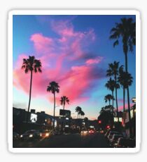 Palm Tree Sunset Sticker