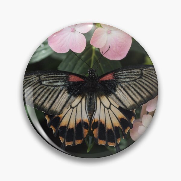 Item preview, The Enchantment of Butterflies - a Gorgeous Swallowtail Complementing the Hydrangeas  designed and sold by Georgia Mizuleva.